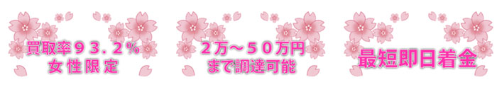 Success Factorの特徴