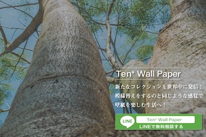 Ten+ (テンプラス)